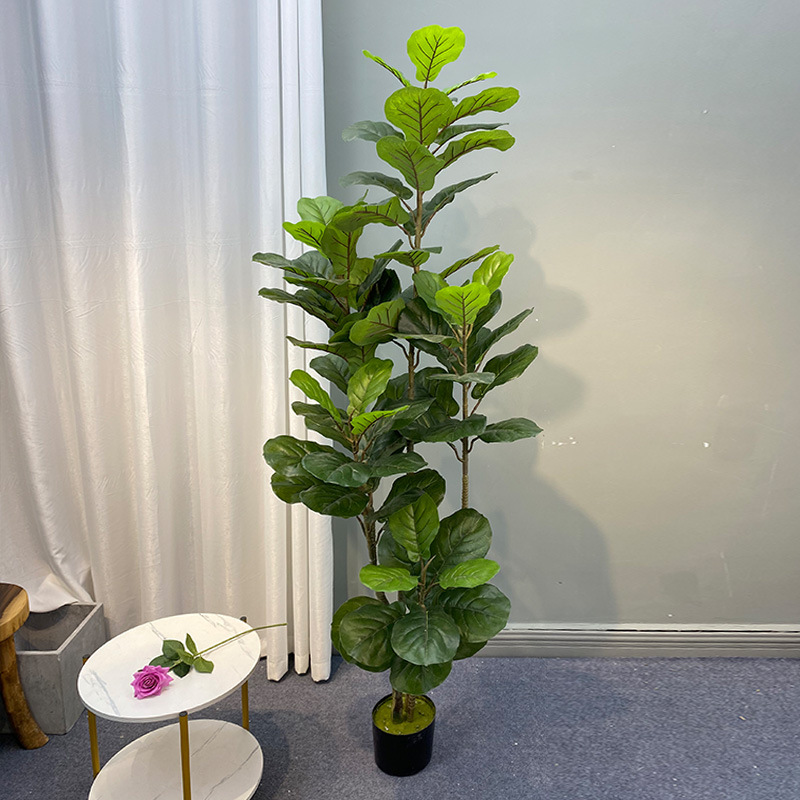 Home Office Layout - Tanaman pohon Ficus besar 59in, pohon