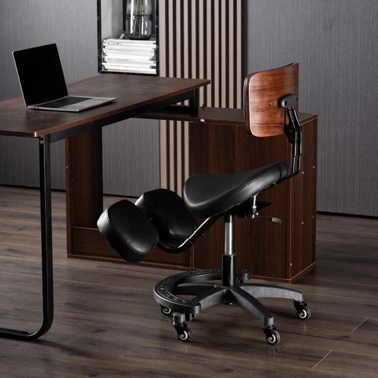 Kursi Ergonomis yang Dapat Dis - Ergonomic Office Chair ulasan dan harga